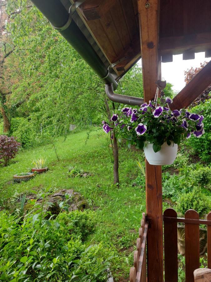 Kuca Za Odmor Anamarija Villa Ogulin Luaran gambar
