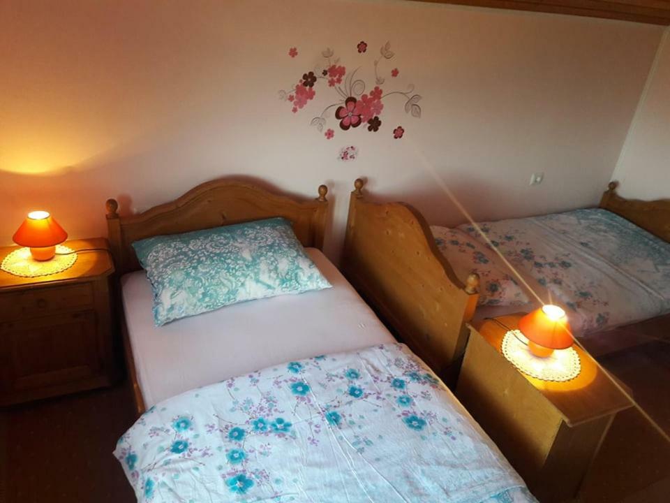 Kuca Za Odmor Anamarija Villa Ogulin Luaran gambar